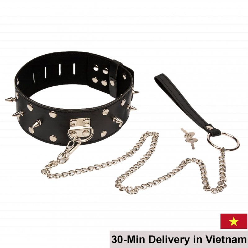 Stainless Steel Spiked SM Collar Chain Toy 