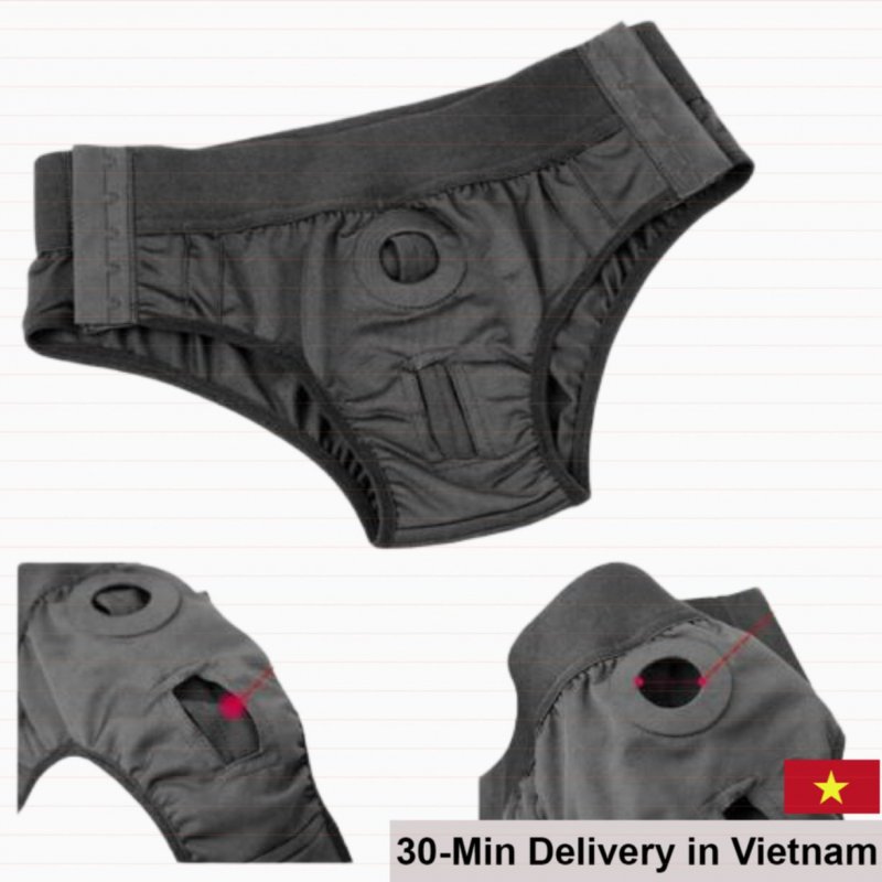 Fake Penis Panties Support For Couples Lgbt 