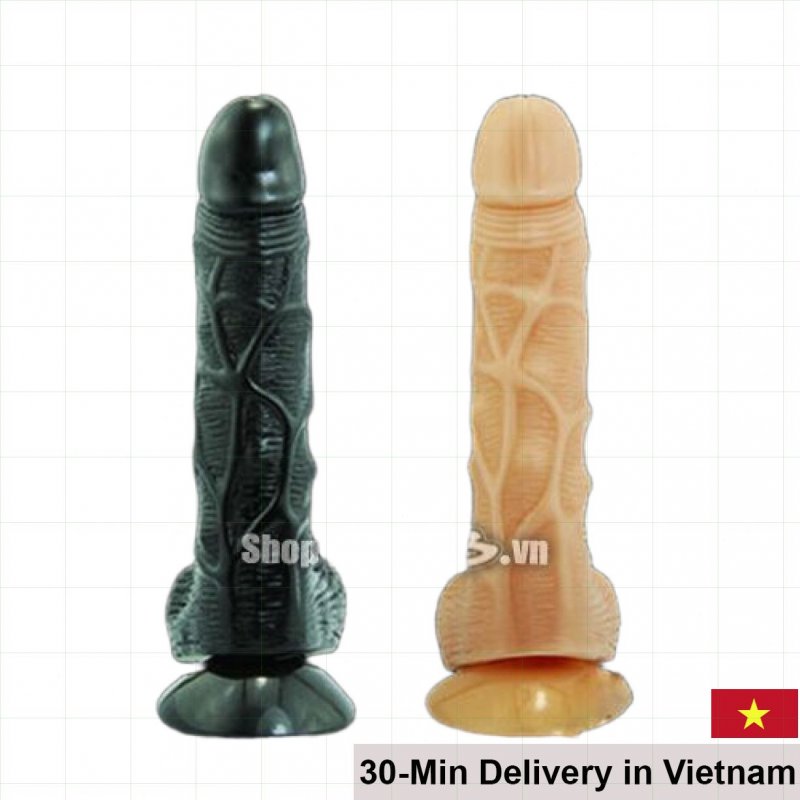 Alighter Spartacus Wall Mount Realistic Double Layer Toy 