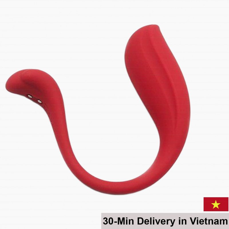 Svakom Phoenix Neo 2 Smart Egg Vibrator Couples Remote Control 