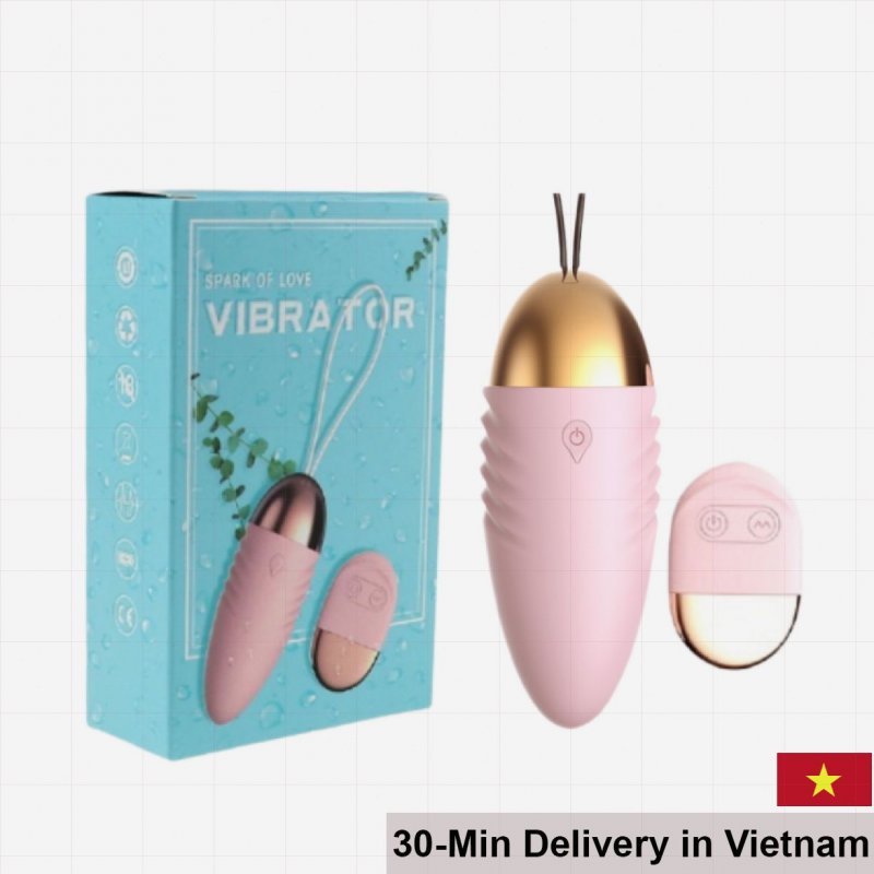 Spark Of Love Wireless Egg Vibrator 12 Modes Female Pleasure 