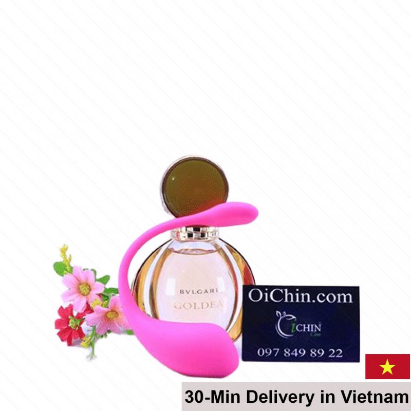 Lovense Lush 2 Bluetooth Wireless Powerful Vibrator 