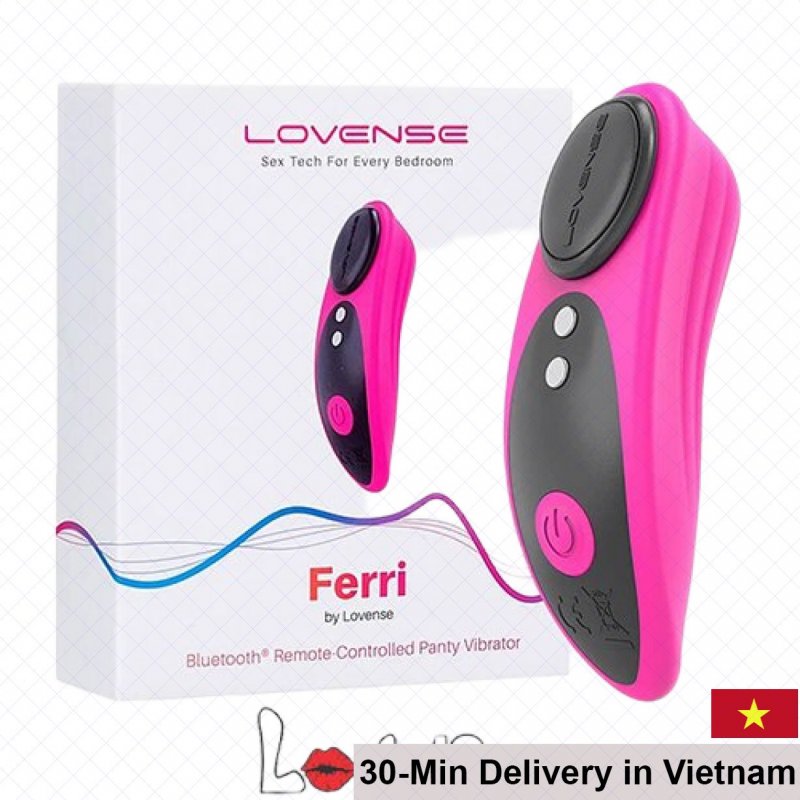 Lovense Ferri Smart Panty Vibrator App Control Silicone 