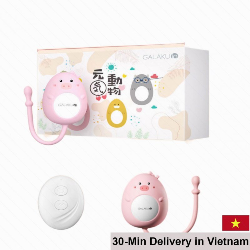 Galaku Cute Wireless Rechargeable Love Egg Multi-Speed Vibrator 