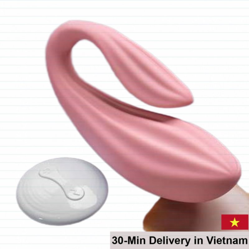 Dragon Sea Beef Remote Panty Vibrator Asian Style Quiet Toy 