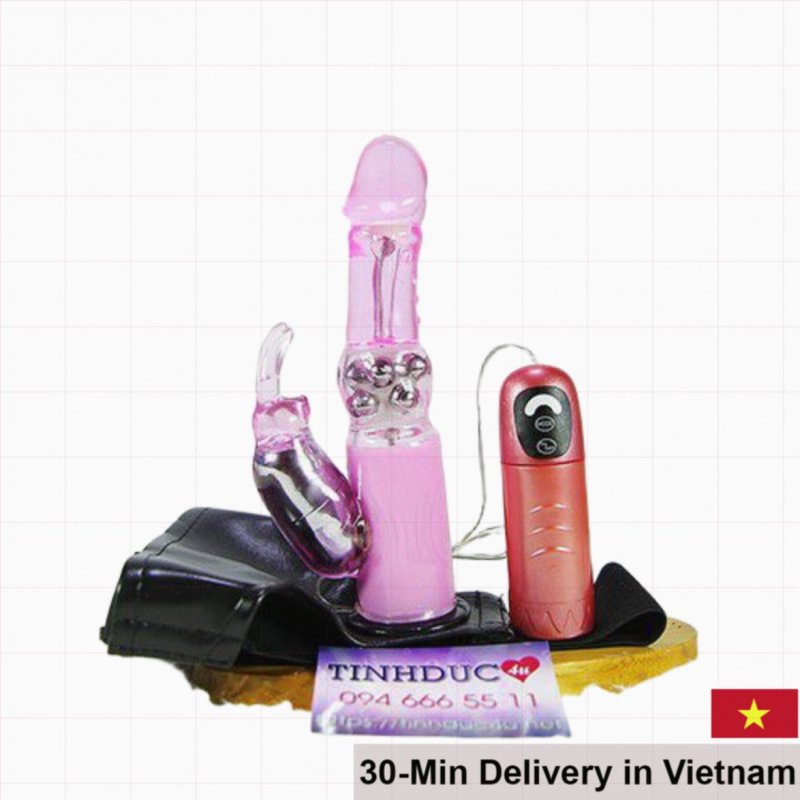 Lybaile Harness Remote Control Double Penetrator 