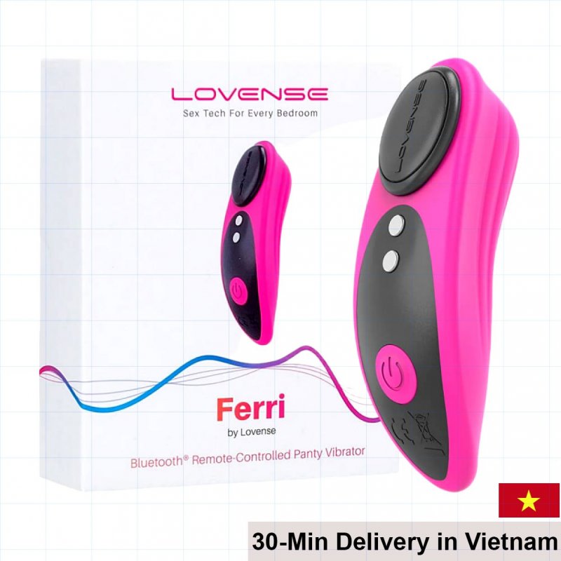 Lovense Ferri App Controlled Wearable Vibrator Rechargeable 