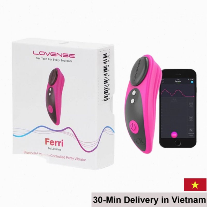 Lovense Ferri Mini Panty Vibrator App Controlled Discreet 