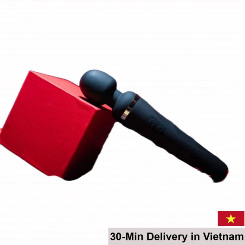 Lovense Domi 2 Remote Controlled Powerful Vibrator 