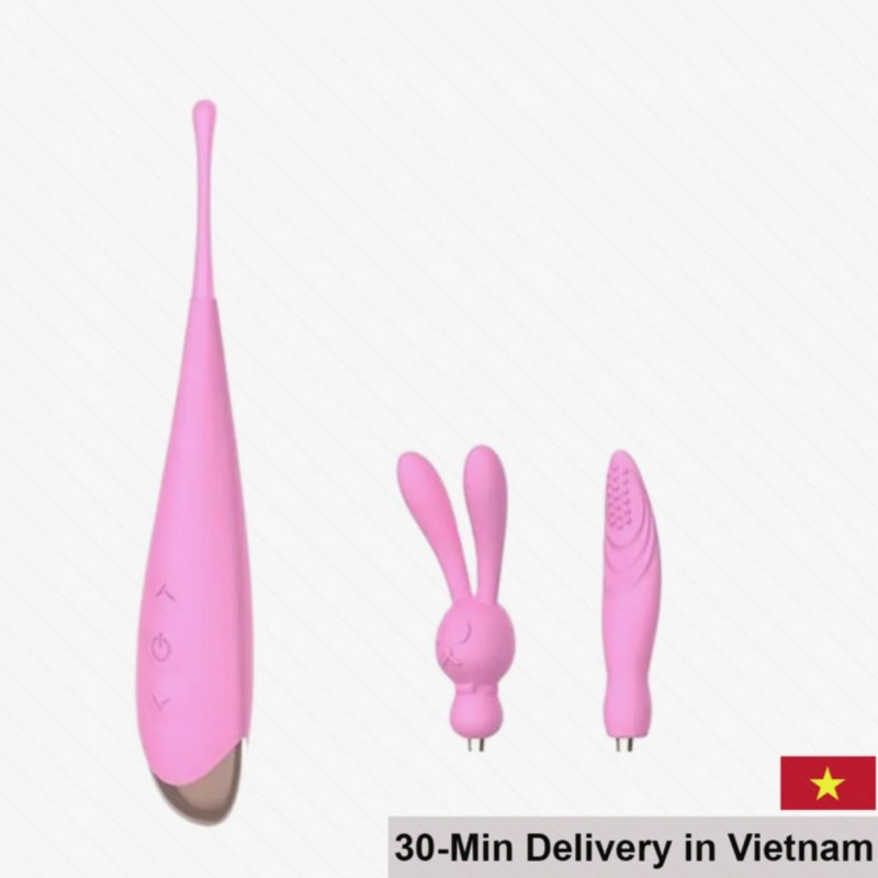 Dibe 3-in-1 Vibrating Massage Wand for Female Sexual Bliss 