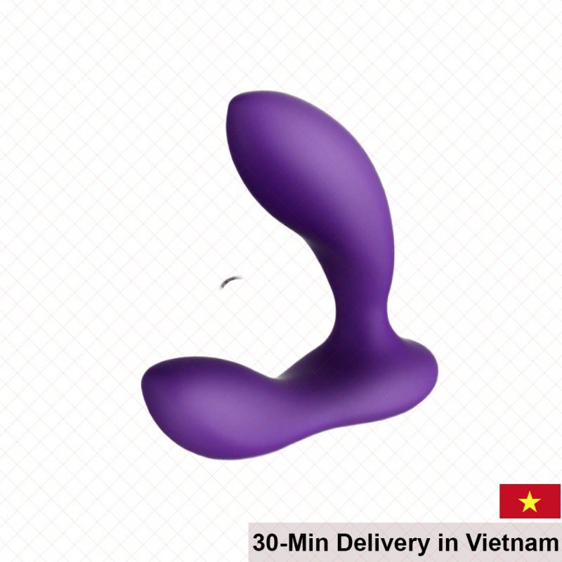 Lelo Bruno Premium Vibrating Prostate Massager Silicone 