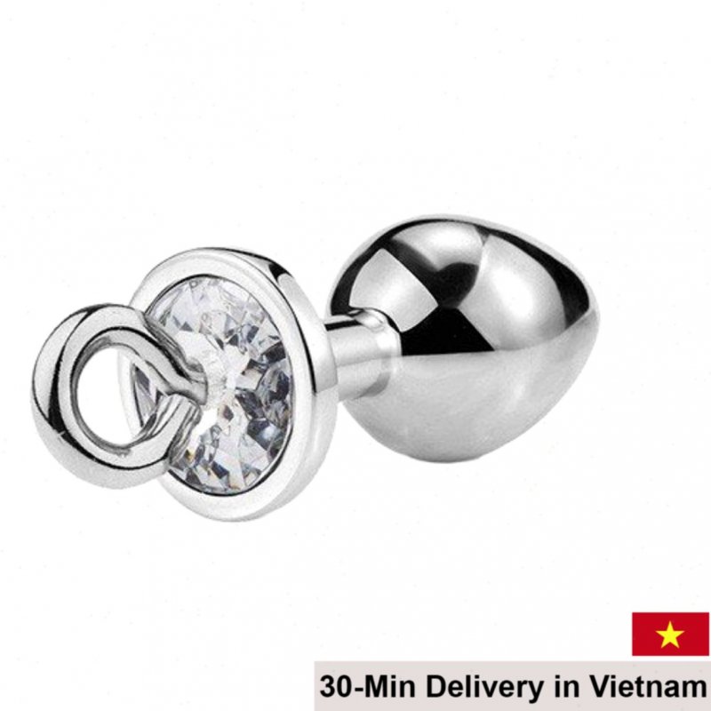 Detachable Metal Anal Plug With Ring Restraint BDSM Toy 